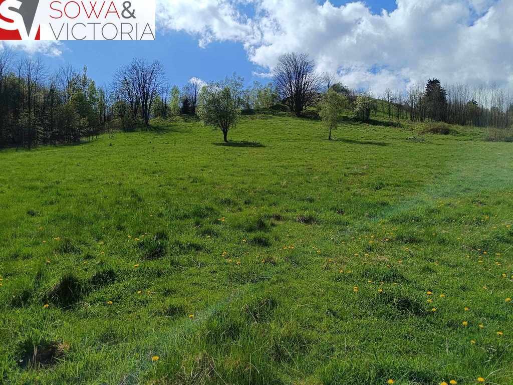 Działka rekreacyjna na sprzedaż Boguszów-Gorce, Stary Lesieniec  7 168m2 Foto 2