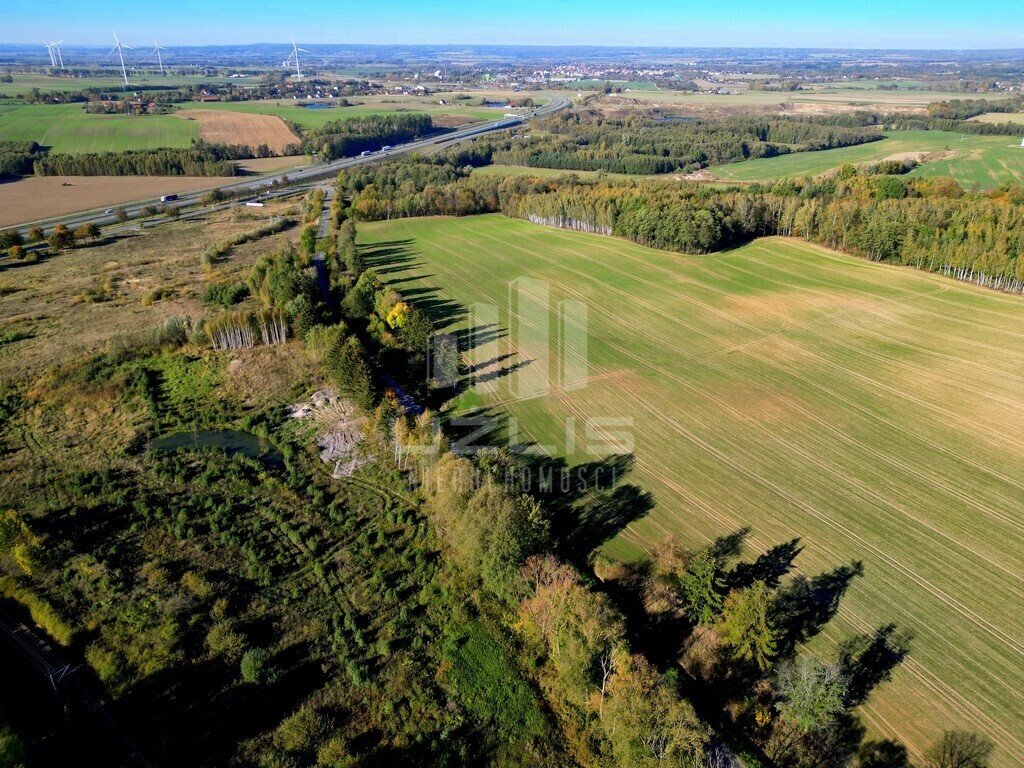 Działka przemysłowo-handlowa na sprzedaż Nowa Wieś  27 310m2 Foto 6