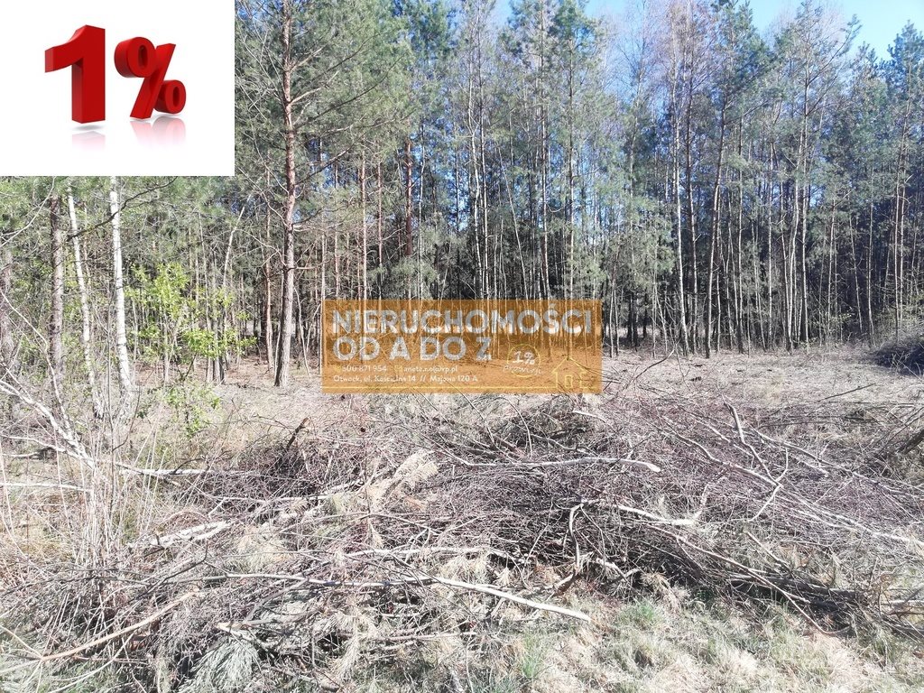 Działka leśna na sprzedaż Kołbiel 4 900m2 Foto 1 Działka leśna na sprzedaż Kołbiel 4 900m2 Foto 1