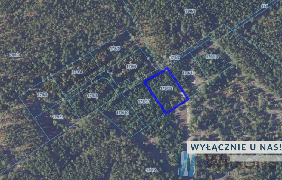 Działka rolna 3010 m² w Opalenciu (okolice pól i lasów) Opaleniec  3 010m2 Foto 1