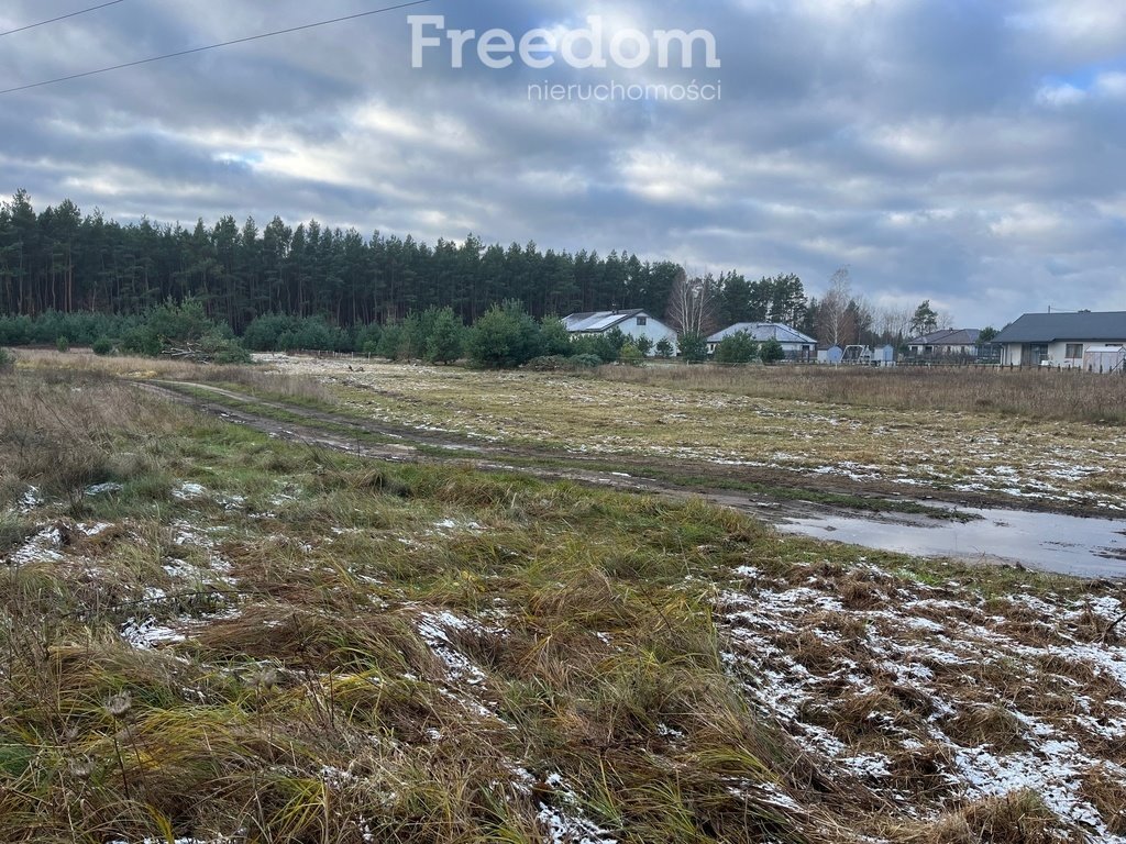 Działka budowlana na sprzedaż Zamek Bierzgłowski, Sosnowa  2 000m2 Foto 13