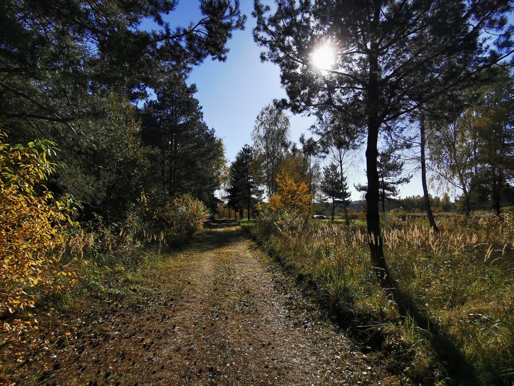 Działka budowlana na sprzedaż Częstochowa, Mirów, Hektarowa  1 089m2 Foto 9