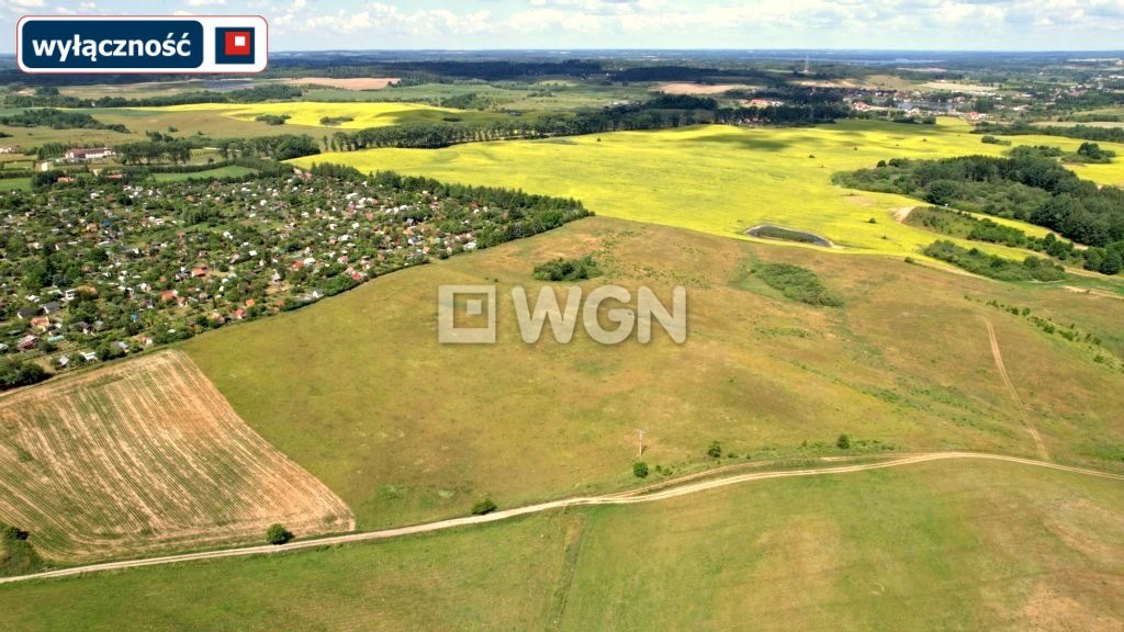 Działka budowlana na sprzedaż Konieczki  1 300m2 Foto 16