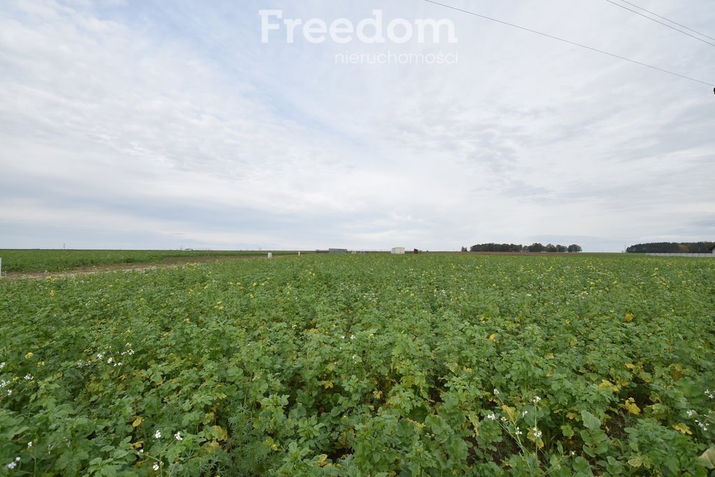 Działka budowlana na sprzedaż Świerczów  1 320m2 Foto 6