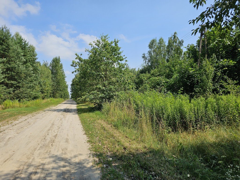 Działka inna na sprzedaż Nowodwór  2 829m2 Foto 8