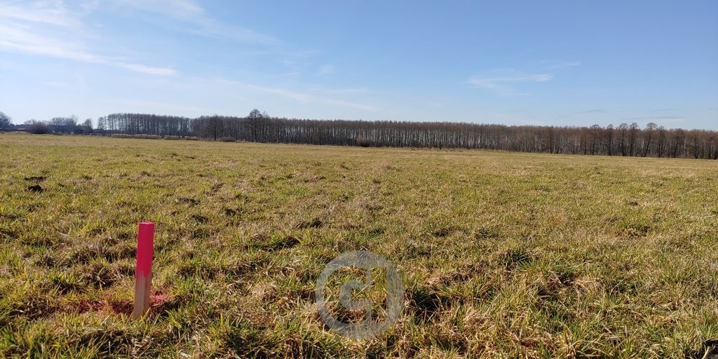 Działka pod dom w Boleminie, 981 m2, media, spokój Bolemin  981m2 Foto 1