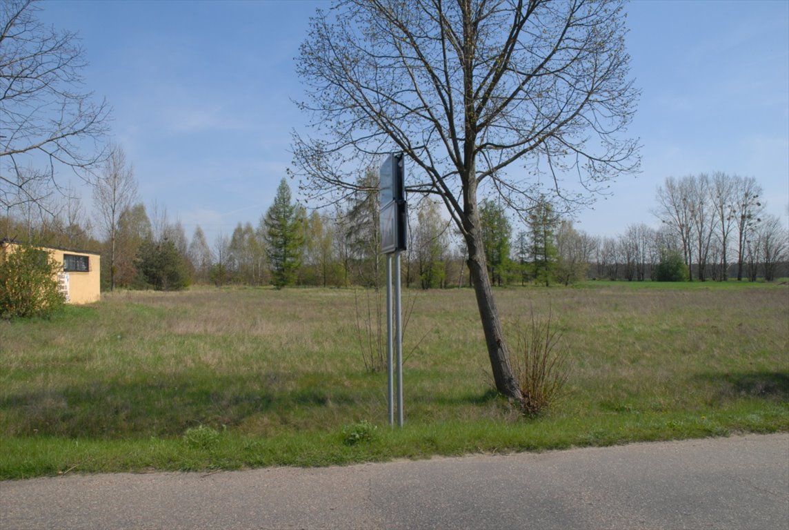 Działka budowlana na sprzedaż Stare Rybitwy, Stare Rybitwy  11 100m2 Foto 3