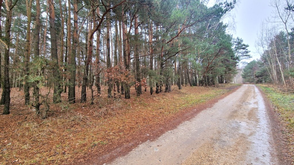 Działka budowlana na sprzedaż Smyków, Prosta  19 000m2 Foto 18