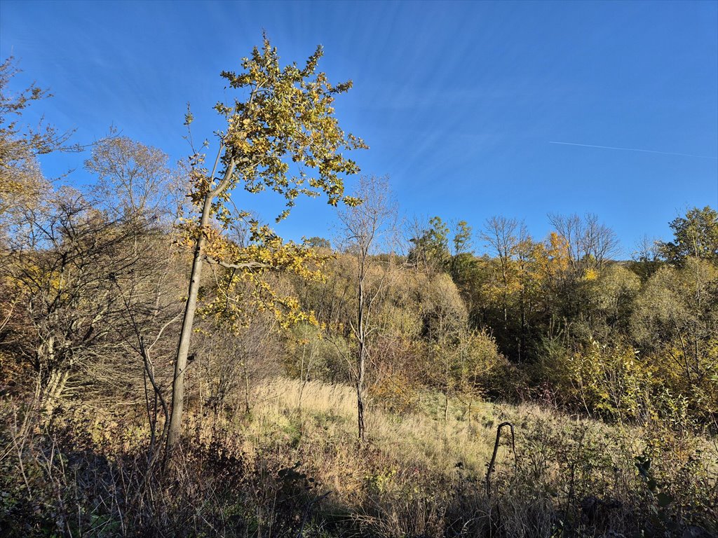 Działka rolna na sprzedaż Jasionka  7 000m2 Foto 5