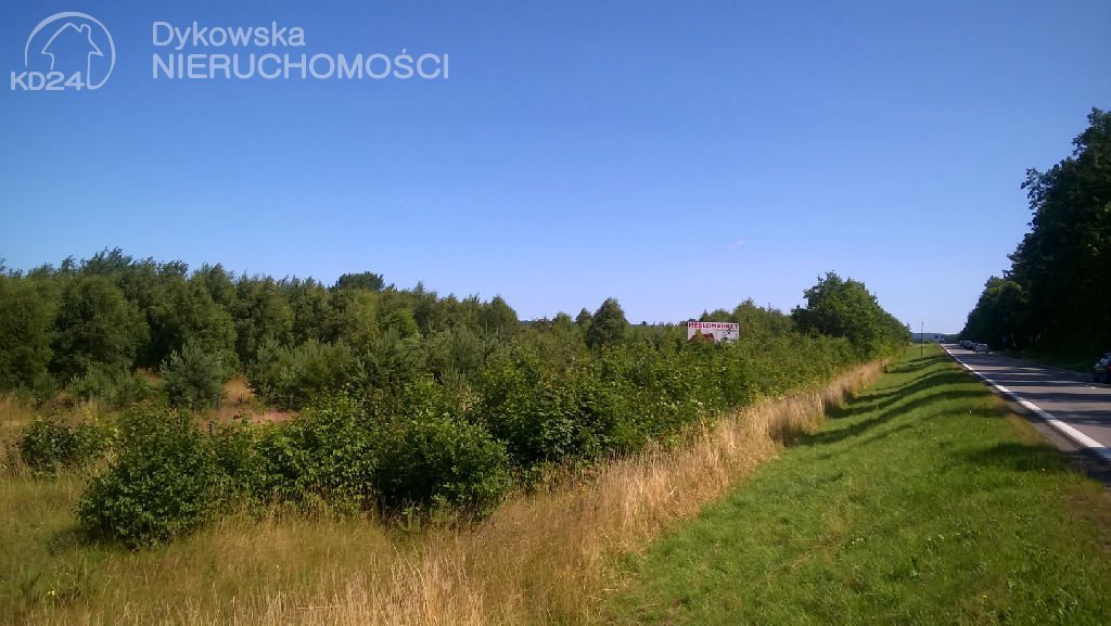Działka inwestycyjna na sprzedaż Lubowidz 3 055m2 Foto 1 Działka inwestycyjna na sprzedaż Lubowidz 3 055m2 Foto 1