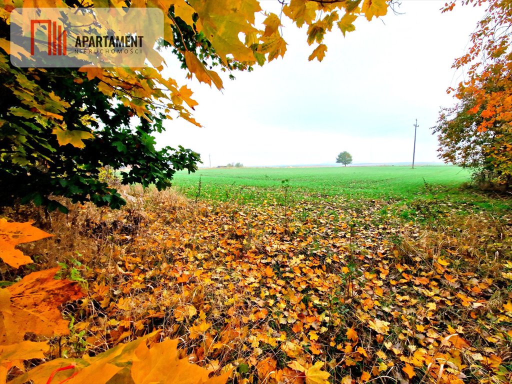 Działka budowlana na sprzedaż Ględowo  1 050m2 Foto 3