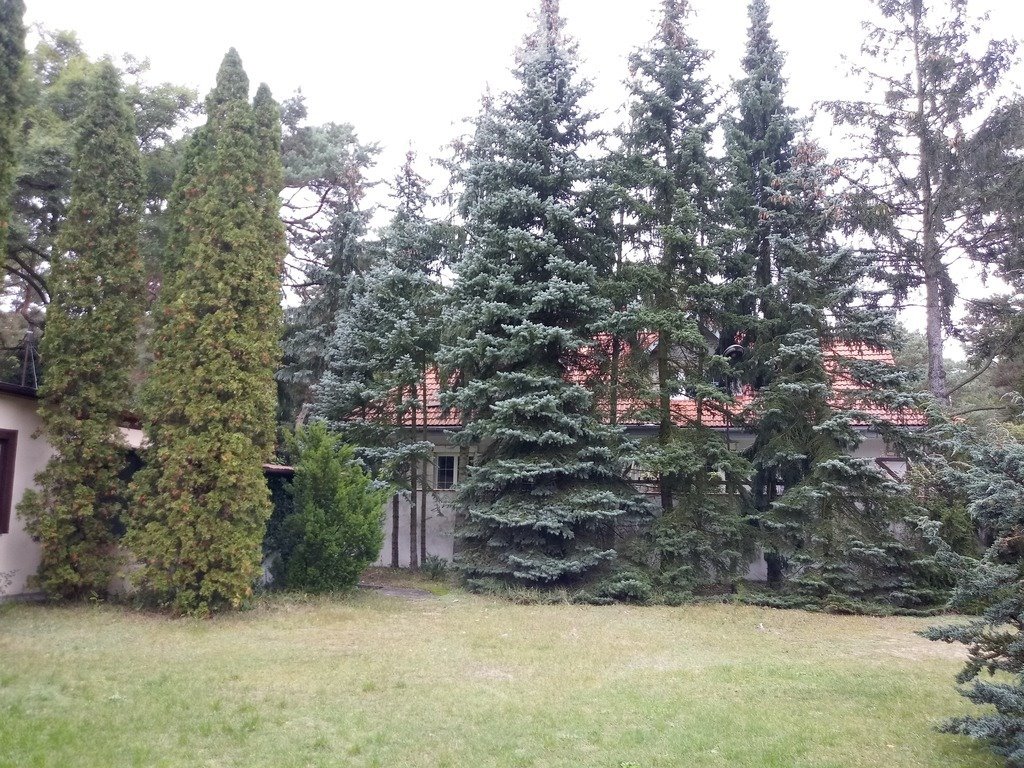 Działka budowlana na sprzedaż Magdalenka, Podleśna  2 100m2 Foto 4