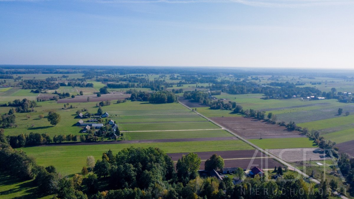 Działka leśna na sprzedaż Michałowo  36 000m2 Foto 6