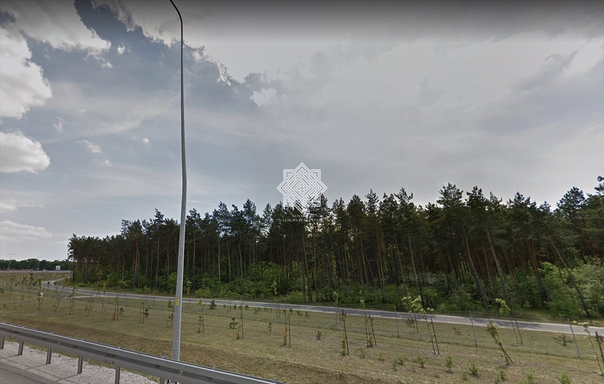 Działka leśna 1,09 ha przy A1, blisko Ciechocinka Kuczek  10 932m2 Foto 1