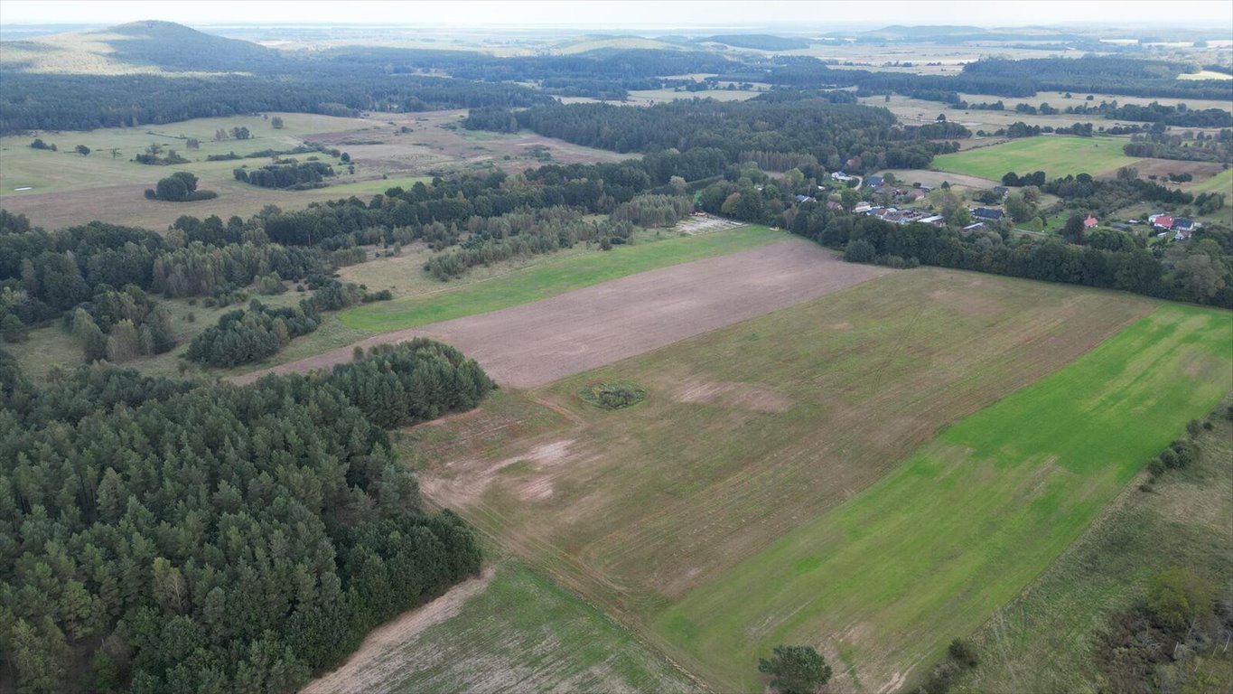 Działka 1,94 ha z widokiem na las i warunkami zabudowy Stojcino  19 400m2 Foto 1