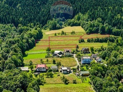 Działka inna na sprzedaż Grzechynia  6 717m2 Foto 2