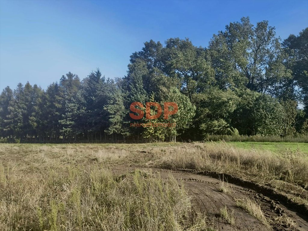 Działka budowlana 880 m2 w Pełczycach – idealna pod dom Pełczyce, Kwiatowa  880m2 Foto 1