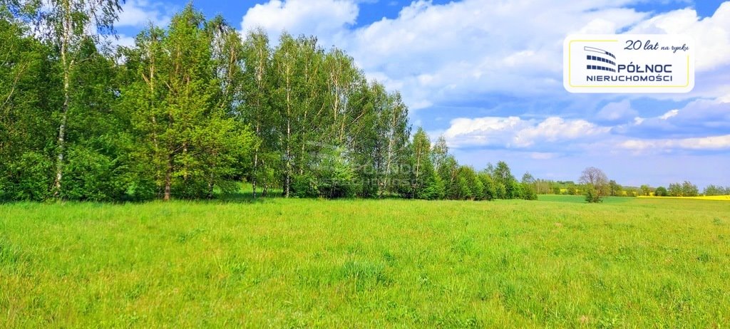 Działka rolna na sprzedaż Targowo  3 224m2 Foto 1