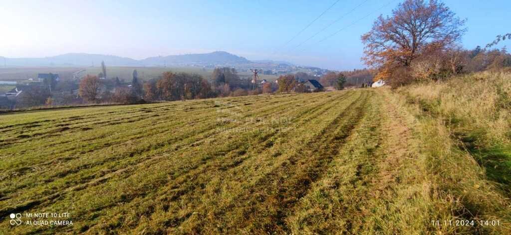 Działka budowlana na sprzedaż Bożków  10 600m2 Foto 8