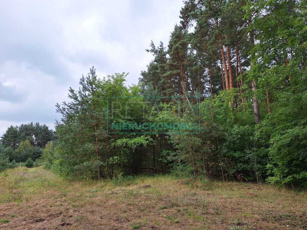 Działka rolna na sprzedaż Strobów  5 474m2 Foto 10