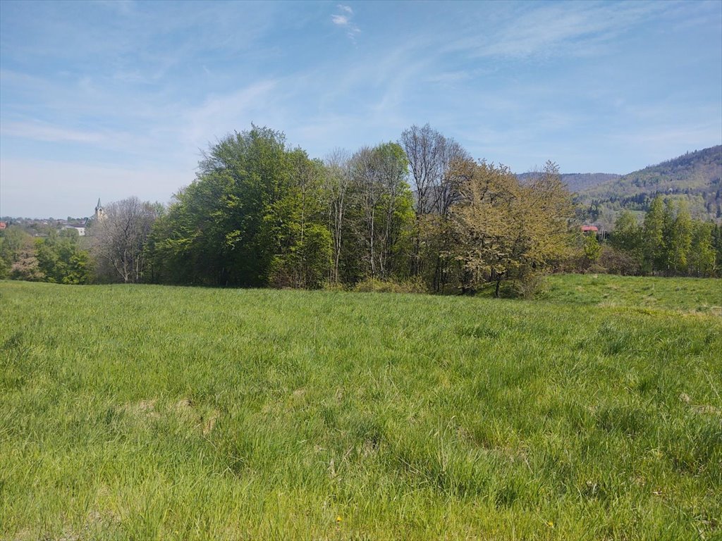 Działka usługowa 28 046 m² z warunkami zabudowy i mediami Bielsko-Biała  28 046m2 Foto 1