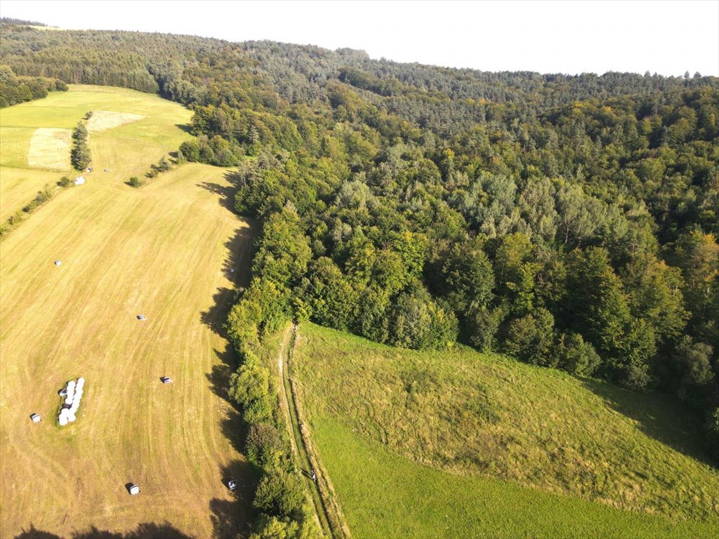 Działka leśna z dostępem do strumyka i drogi gminnej Bukowsko  3 909m2 Foto 1