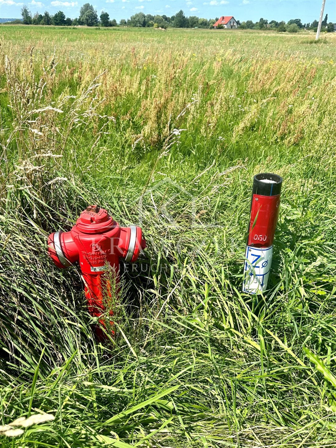 Działka budowlana na sprzedaż Czarna Łąka  3 000m2 Foto 12