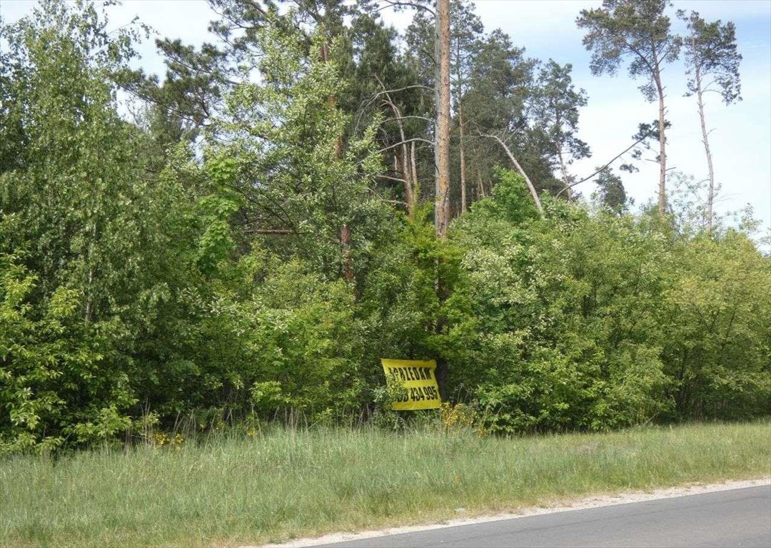 Działka inwestycyjna na sprzedaż Żabia Wola  4 000m2 Foto 3