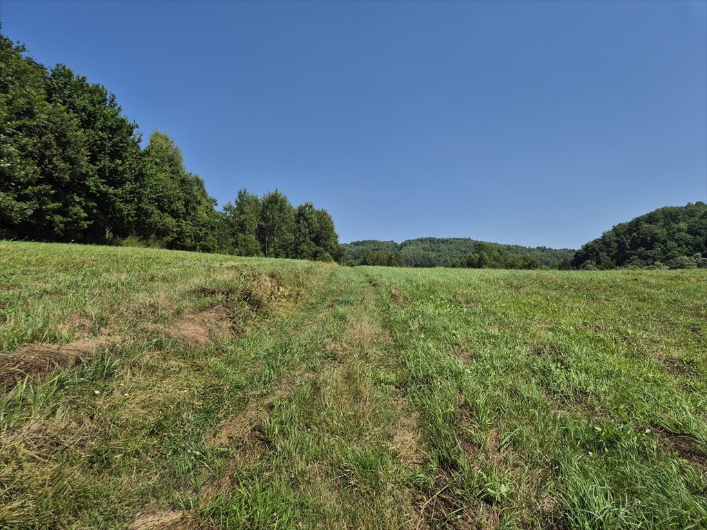 Działka rolna na sprzedaż Golcowa  8 051m2 Foto 5