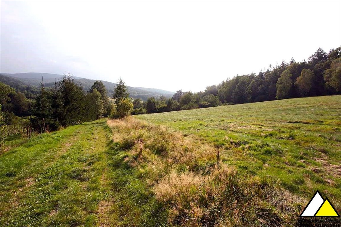 Działka rolna na sprzedaż Świeradów-Zdrój, Czerniawa-Zdrój, Czerniawa Zdrój  12 856m2 Foto 3