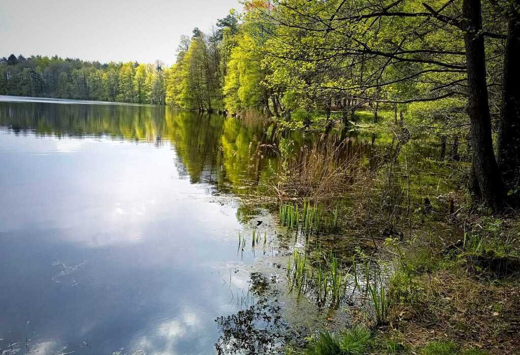 Dom na sprzedaż Grabno  200m2 Foto 20