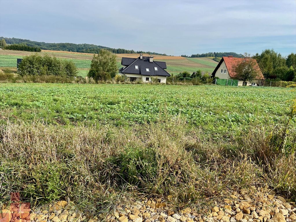 Działka budowlana na sprzedaż Michałowice  1 200m2 Foto 1