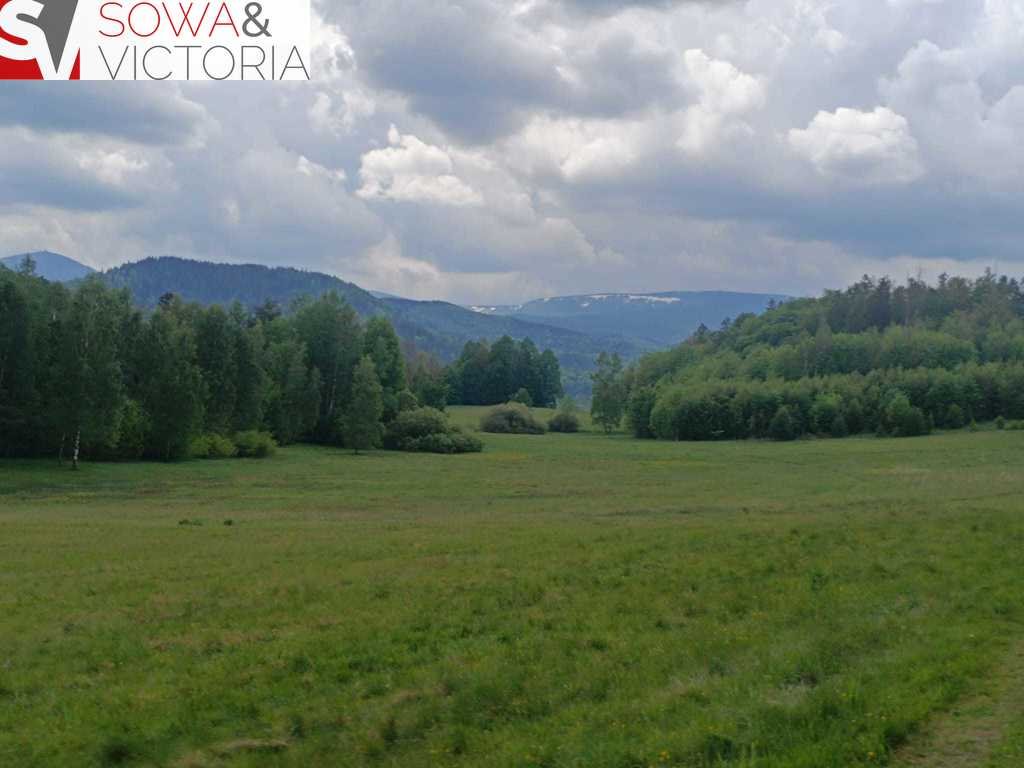 Działka inna na sprzedaż Głębock  79 700m2 Foto 7