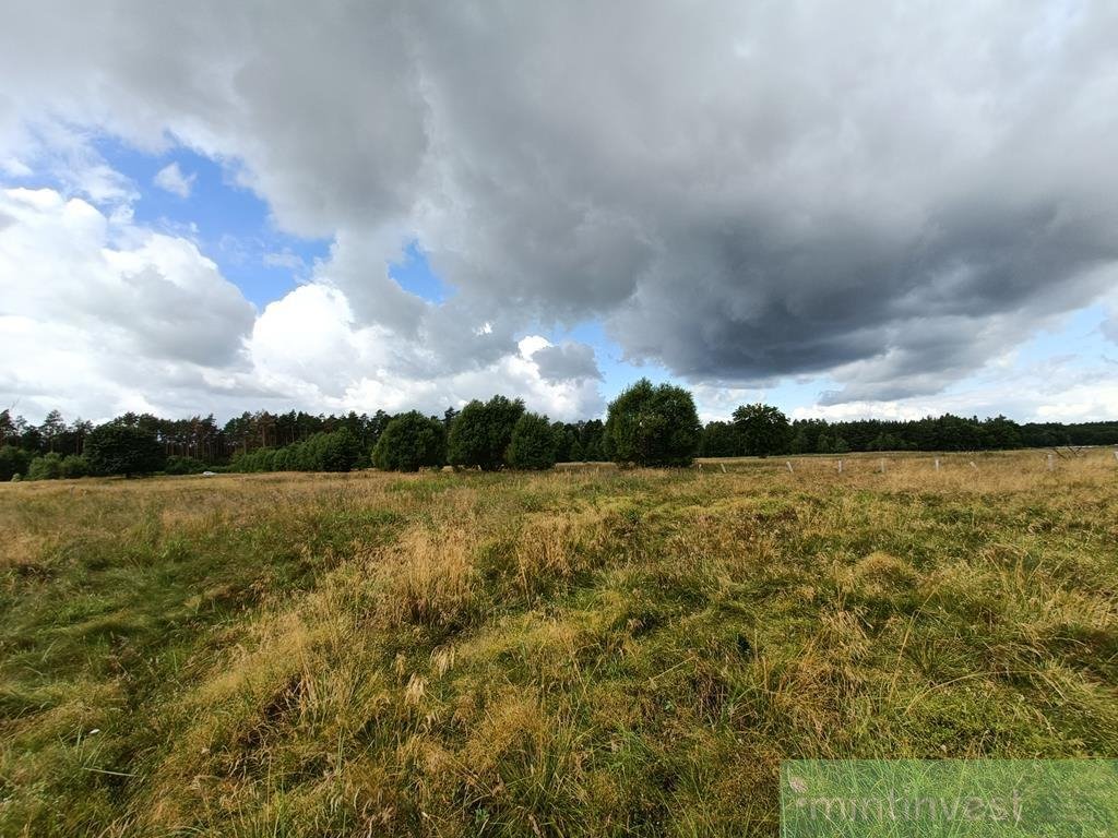 Działka rolna na sprzedaż Żarowo  22 023m2 Foto 6