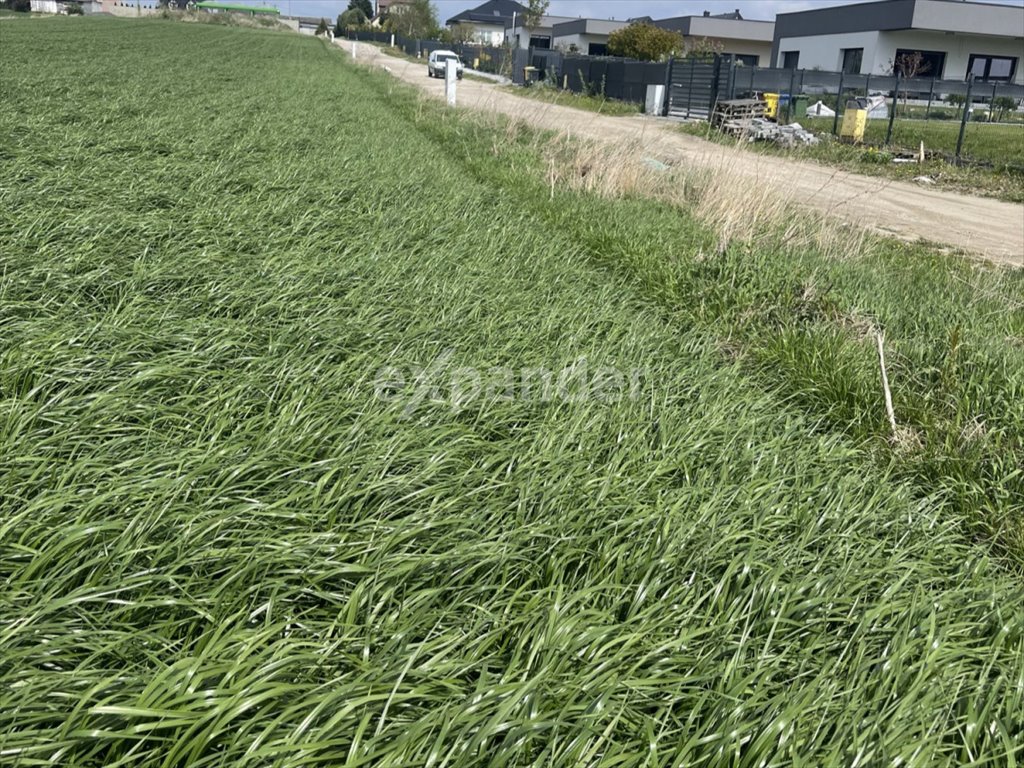 Działka budowlana na sprzedaż Konstantynów Łódzki, Niesięcin  1 130m2 Foto 3