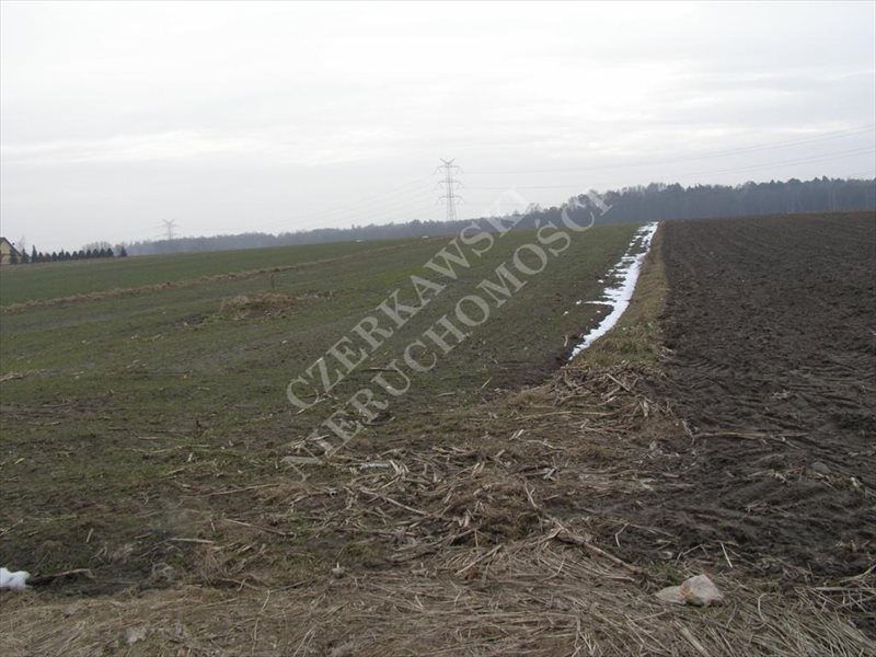 Działka inna na sprzedaż Gliwice, Brzezinka, - 5 591m2 Foto 1 Działka inna na sprzedaż Gliwice, Brzezinka, - 5 591m2 Foto 1