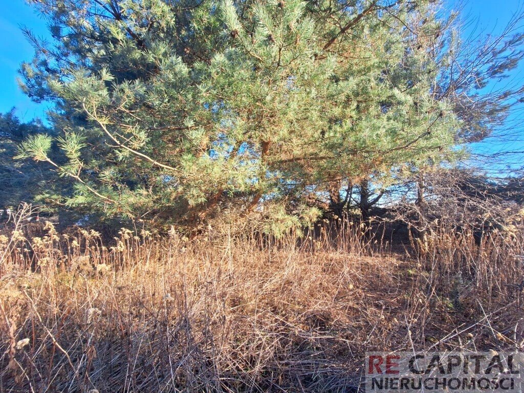 Działka budowlana na sprzedaż Zielonki-Wieś  1 017m2 Foto 3