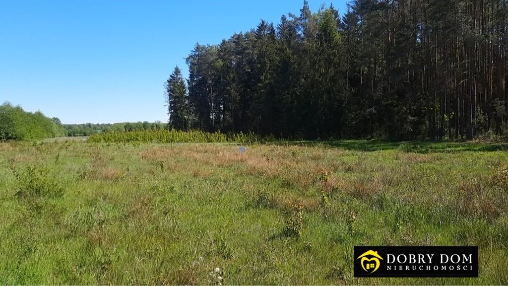 Działka budowlana na sprzedaż Borowiki  1 231m2 Foto 1