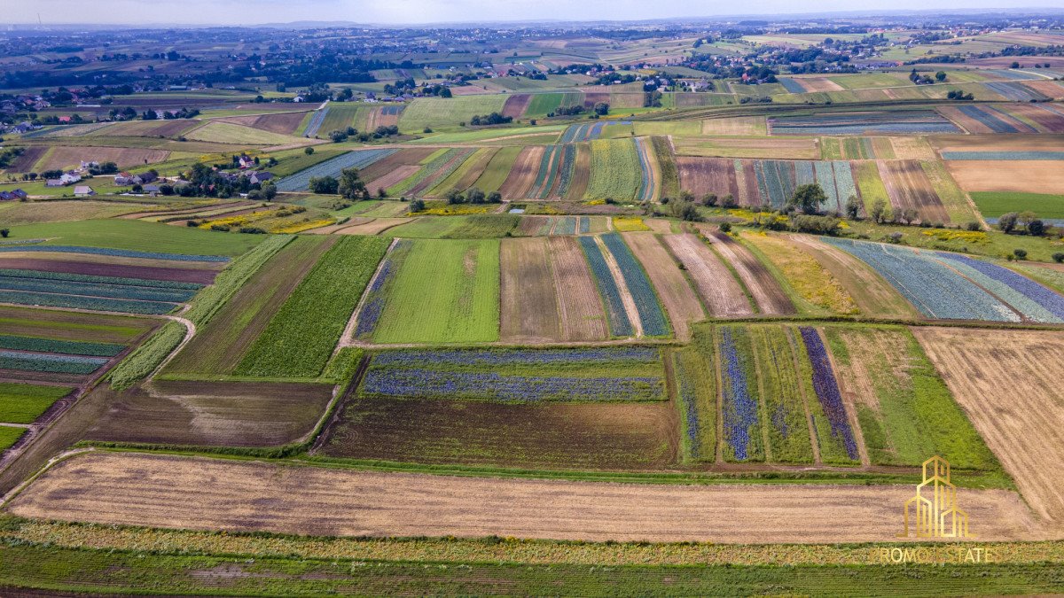 Działka gospodarstwo rolne na sprzedaż Czulice  6 900m2 Foto 9