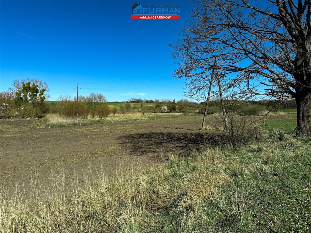 Działka 6400 m² z warunkami zabudowy i dostępem do mediów Łomnica  6 400m2 Foto 1