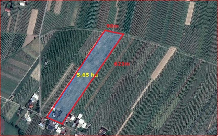 Działka 5,65 ha z budynkami, media, uprawy, Goliany Goliany  56 500m2 Foto 1