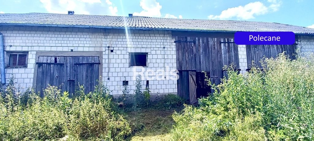 Magazyn na sprzedaż w Winnicy, 4149 m2 z domem Winnica  4 149m2 Foto 1