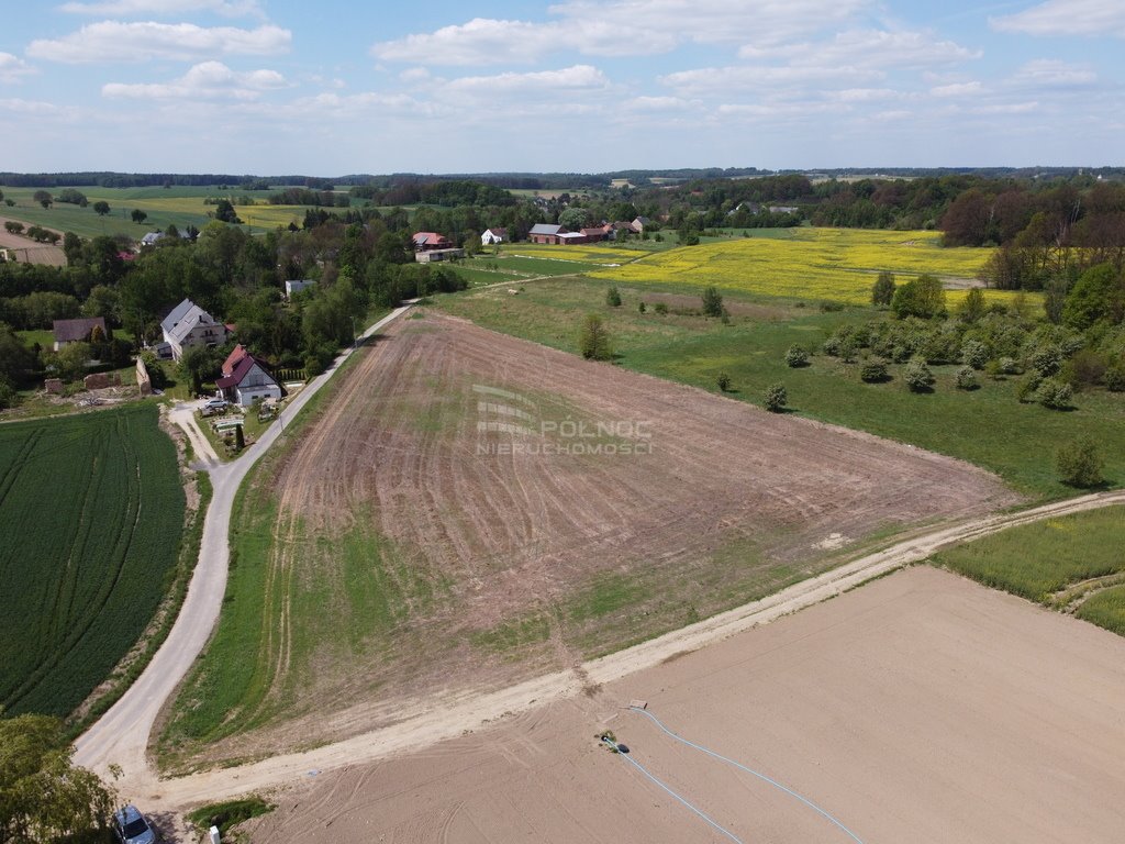 Działka budowlana na sprzedaż Żeliszów  10 500m2 Foto 2