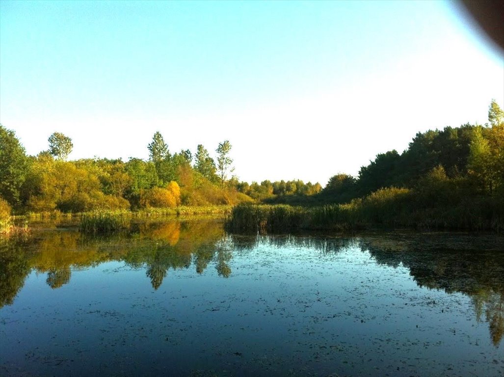 Działka 10,3 ha z lasem, stawem i potencjałem inwestycyjnym Dygowo, Lipowa  102 772m2 Foto 1