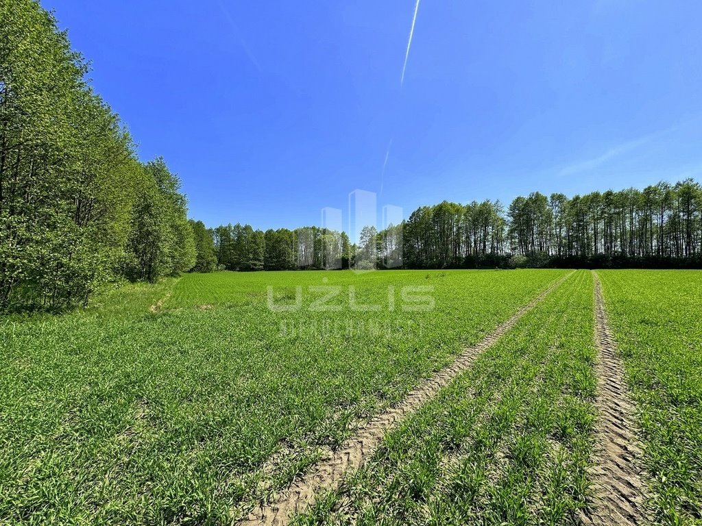 Działka inna na sprzedaż Osiek  12 670m2 Foto 17