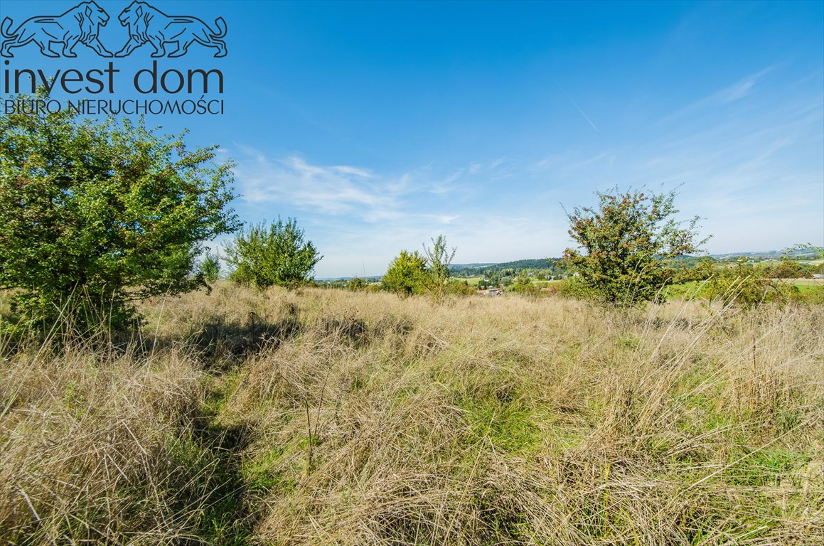 Działka rolna na sprzedaż Mszanka  9 500m2 Foto 4