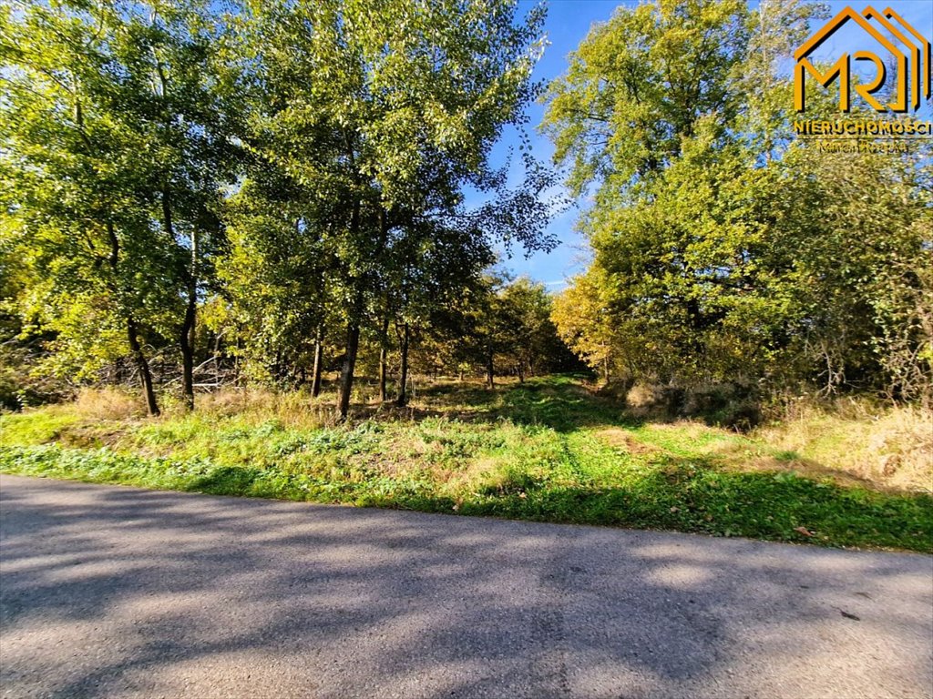 Działka inna na sprzedaż Sutków  15 100m2 Foto 3