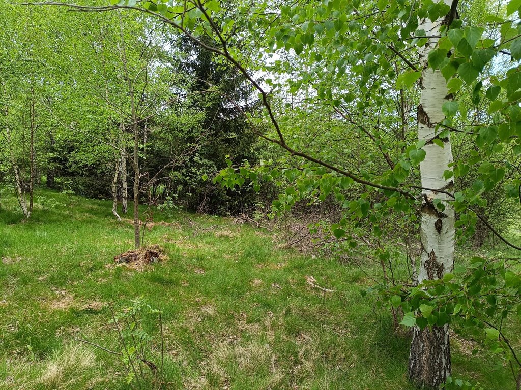 Działka budowlana na sprzedaż Ogorzelec  2 300m2 Foto 7