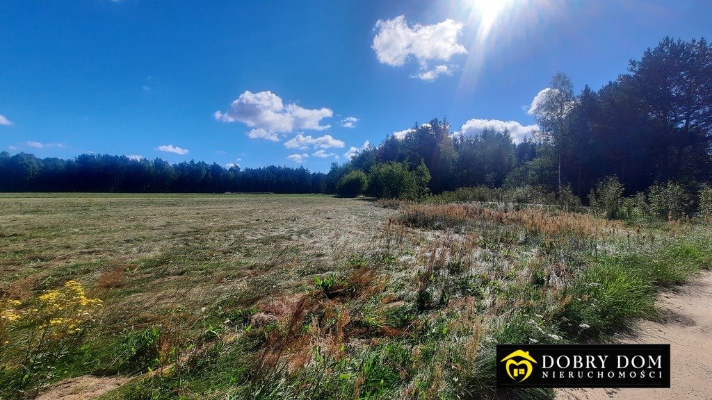 Działka 37 000 m² w Borsukówce (blisko Puszczy Knyszyńskiej) Borsukówka  37 000m2 Foto 1