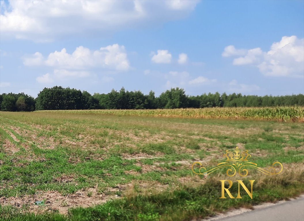 Działka rolna na sprzedaż Rudno  10 400m2 Foto 5